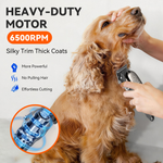 Kit Cortadora de Mascotas Soumfia 6500RPM Recargable